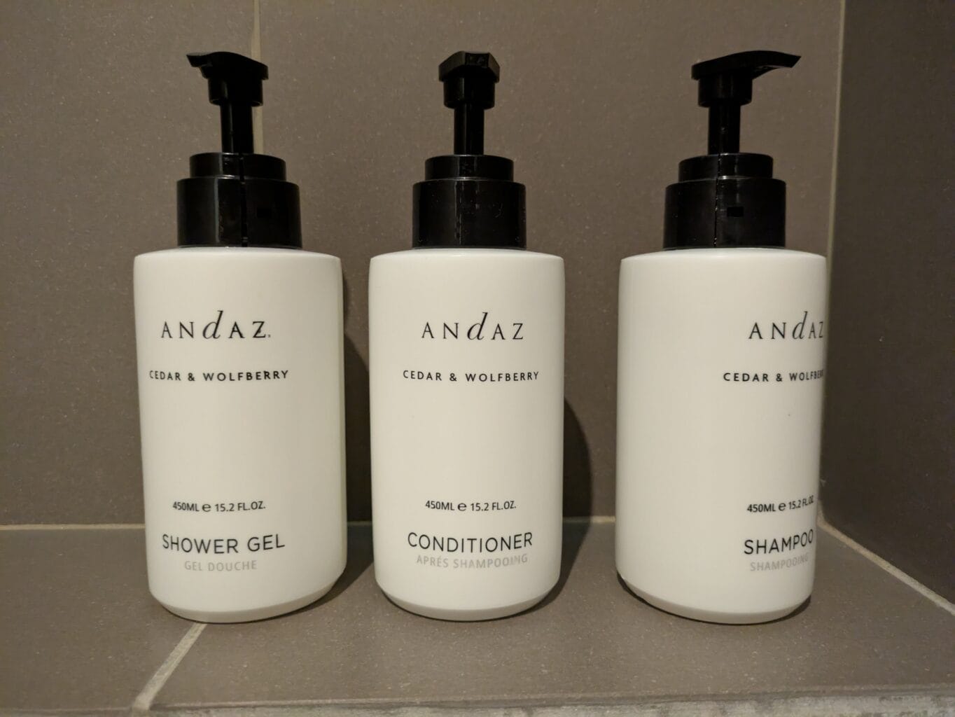 Andaz Delhi Review